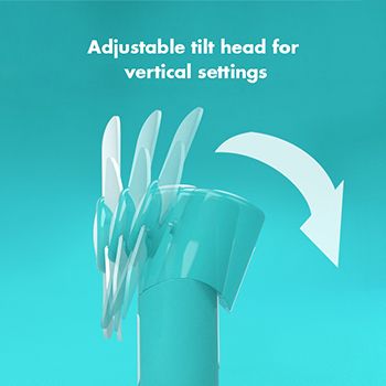 Adjustable head